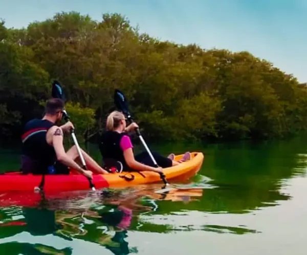 Kayaking Purple Island (5 Hrs)