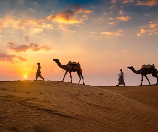Desert Safari   (8 Hrs)