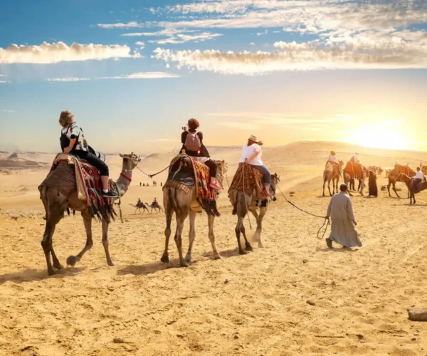 Desert Safari   (4 Hrs)